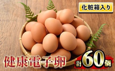卵! 健康電子たまご(鶏卵)6パック 60個入り (内10個 宅配破損時 保証卵付) [A-1634H]