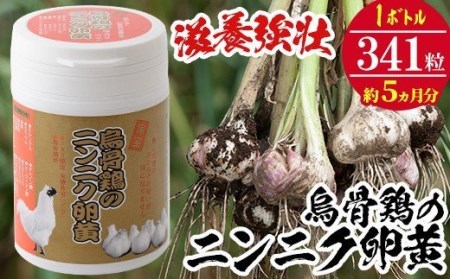 烏骨鶏のニンニク卵黄 (においがしないタイプ) 約5か月分 国産 ニンニク卵黄 健康維持に!にんにく卵黄 にんにく サプリ[C-80H]