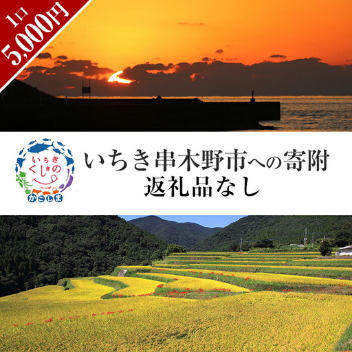 返礼品無し寄附（5,000円分）【Z-002】