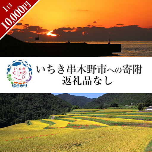 返礼品無し寄附（10,000円分）【Z-003】
