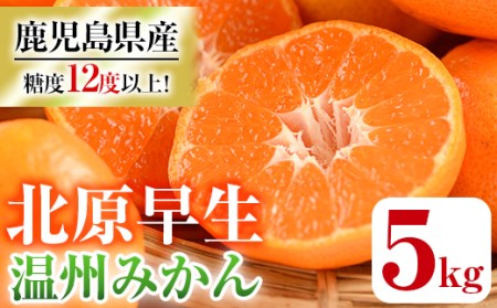 [11月中旬頃発送開始]JAさつま日置産 北原早生(温州みかん) 合計約5kg 厳しい基準をクリアした 甘い みかん をご自宅で![A-1766H]