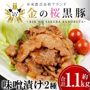 金の桜黒豚味噌漬け(2種・合計約1.1kg)レンジ対応!/いちき串木野産黒豚 高校生が丹精込めて育てた黒豚[A-1406H]