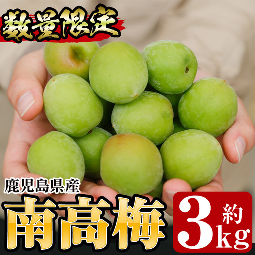 先行予約[数量・期間限定]朝日梅園の南高梅(生梅)3kg 箱 バラ詰め 満杯 梅干し 梅酒 はちみつ梅 カリカリ梅 にもオススメ![00-088-01]