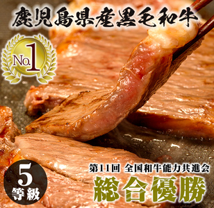 鹿児島黒牛サーロインステーキ(2枚)・黒牛すきやき用リブロース・肩ロースセット(5等級) 計約1kg[E-52H]