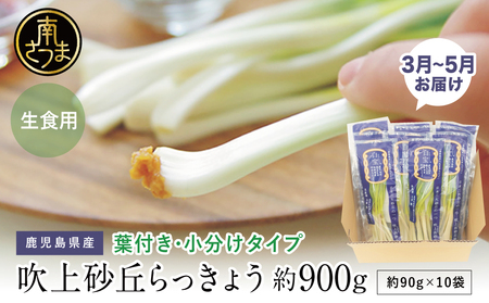 [3〜5月発送]旬野菜 鹿児島県産 生食用 吹上砂丘らっきょう 約900g(約90g×10袋) らっきょう 野菜 鹿児島県産 生食 旬 エスランドル 南さつま市