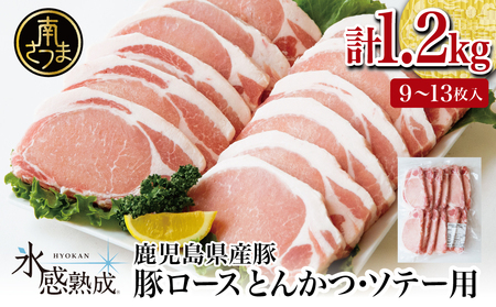 [氷感熟成豚]鹿児島県産 豚ロース とんかつ・ソテー用 計1.2kg 肉 お肉 焼肉 炒め物 とんかつ ステーキ ソテー 照焼き おかず 惣菜 お弁当 豚肉 かごしま スライス グルメ 冷凍 スターゼン 南さつま市