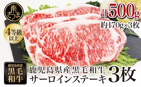 【鹿児島県産】黒毛和牛 サーロインステーキ 約500g （約170g×3枚） 牛肉 A4等級 ステーキ BBQ ギフト 贈答 冷凍 スターゼン
