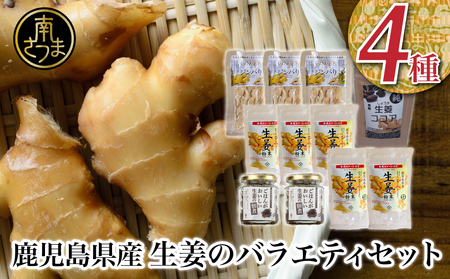 [健康習慣]生姜のバラエティセット 4種 生姜パウダー ジンジャー ココア スナック 佃煮 ごはん 料理 味噌汁 しょうが 鹿児島 エスランドル 南さつま市