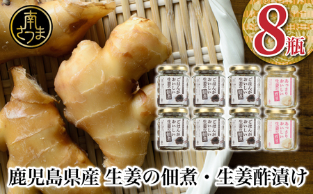 [健康習慣]生姜の佃煮・生姜酢漬け 2種 計8個 佃煮 つくだ煮 セット 珍味 惣菜 生姜 しょうが 鹿児島 エスランドル 南さつま市