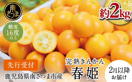 [2025年2月初旬発送開始]鹿児島県産ブランドきんかん「春姫」 約2kg 鹿児島県産 ブランド 金柑 果物 フルーツ 柑橘 常温 JA 南さつま市