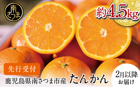 [2025年2月中旬発送開始]鹿児島県産 ブランドたんかん 約4.5kg かこしまブランド 果物 フルーツ 柑橘 常温 JA 南さつま市