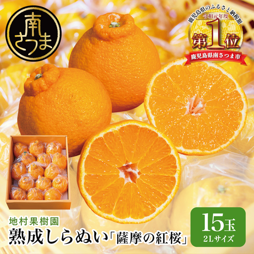 [至高の熟成柑橘]「薩摩の紅桜(不知火)」2Lサイズ15玉 [数量・期間 限定 ] 熟成 柑橘 みかん 長期貯蔵 しらぬい 不知火 国産 果実 果物 くだもの フルーツ 果肉 果汁 食品 デザート スイーツ おやつ 甘い ジューシー 旬 季節限定 季節果物 おすすめ 高級 ご褒美 贅沢 グルメ 地村果樹園 鹿児島 鹿児島県 南さつま市 地村果樹園 鹿児島 南さつま市