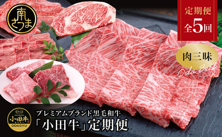 [全5回]プレミアムブランド「小田牛」定期便[肉三昧] 鹿児島県産 黒毛和牛 ステーキ リブステーキ すき焼き 焼肉 BBQ カタロース カルビ モモ ソース 冷凍 小田畜産 南さつま市