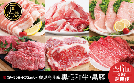 [定期便 全6回]スターゼン厳選お肉の定期便(鹿児島県産黒毛和牛・黒豚) 牛肉 豚肉 サーロイン ステーキ 切り落とし しゃぶしゃぶ 焼肉 すき焼き もも モモ バラ ロース スライス 小分け 定期便 冷凍 スターゼン 南さつま市