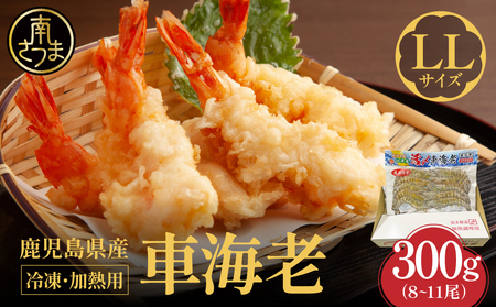 [鹿児島県産]冷凍 車海老 LLサイズ 300g (加熱用) 車エビ 車えび くるまえび 海老 エビ えび 海の幸 海鮮 九州 国産 魚介 魚介類 真空パック 天ぷら エビフライ エビチリ 冷凍 南さつま市