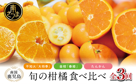 南国の恵み 旬の柑橘食べ比べ(全3回お届け)★2026年2〜3月お届け★ 果物 フルーツ 柑橘 蜜柑 みかん 不知火 しらぬい 金柑 きんかん 春姫 たんかん 定期配送 定期便 ブランド 常温 JA南さつま 南さつま市