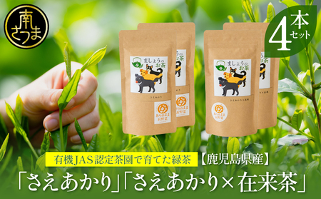 [鹿児島県産緑茶]ましょうのお茶「さえあかり」「さえあかり×在来茶」4本セット 計200g 鹿児島県産 かごしま お茶 日本茶 緑茶 茶葉 南さつま市