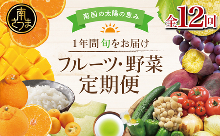 【定期便】南国の恵み 旬のフルーツ・野菜定期便（全12回）