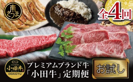 [全4回] プレミアムブランド和牛「小田牛」定期便 (お試し) 鹿児島県産 黒毛和牛 ステーキ すき焼き ハンバーグ カレー 総菜 おかず レトルト 冷凍 小田畜産 南さつま市