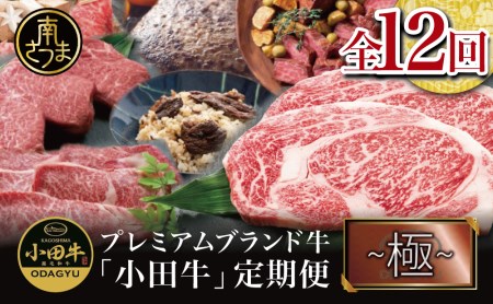 [全12回]プレミアムブランド和牛「小田牛」定期便 (〜極〜)鹿児島県産黒毛和牛 ステーキ すき焼き しゃぶしゃぶ ローストビーフ ハンバーグ カレー 総菜 おかず レトルト 冷凍 小田畜産 南さつま市