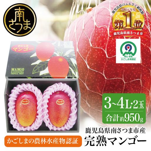 鹿児島県産 完熟マンゴー 3～4Lサイズ 2玉（化粧箱入り）［数量・期間 限定 ］マンゴー 完熟マンゴー トロピカルフルーツ 完熟 芳醇 国産 果実 果物 くだもの フルーツ 果肉 果汁 食品 デザート スイーツ おやつ 甘い ジューシー 旬 夏 季節限定 季節の果物 南国フルーツ 南国 おすすめ 高級 ご褒美 贅沢 グルメ 冷蔵 JAさつま日置 鹿児島 鹿児島県 南さつま市