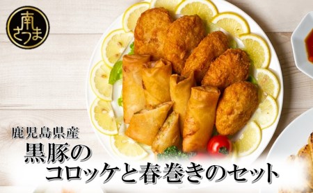 [鹿児島県産]黒豚コロッケと黒豚春巻きの詰め合わせ おかず 総菜 ギフト 贈答 冷凍 南さつま市