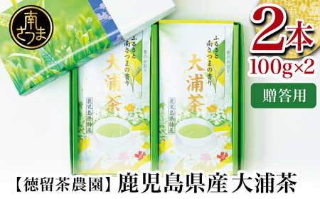【贈答用】★2025年新茶★ 鹿児島県産緑茶 大浦茶 一番茶2本セット（100g×2） 鹿児島県産 かごしま お茶 日本茶 緑茶 茶葉 南さつま市 徳留茶農園