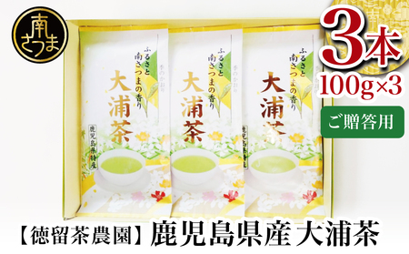 【贈答用】★2025年新茶★ 鹿児島県産緑茶 大浦茶 一番茶 3本セット 計300g（100g×3） 鹿児島県産 かごしま お茶 日本茶 緑茶 茶葉 南さつま市 徳留茶農園