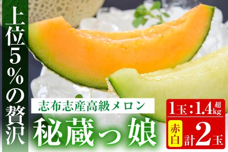 [冬限定]極上メロン「秘蔵っ娘」赤玉・白玉 計2個(赤肉・青肉 各1個) メロン マスクメロン 果物 くだもの デザート 赤肉 青肉 b5-033-w
