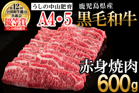 [数量限定]鹿児島県産 A4・A5等級うしの中山黒毛和牛赤身焼肉用600g