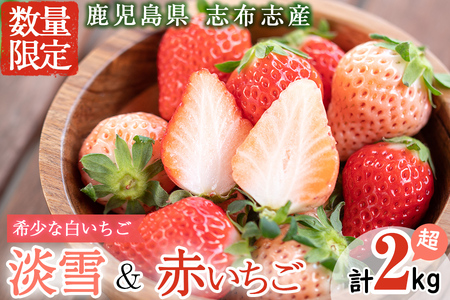 qs\tIrYIuzu˔uWv4PƋG߂܂Ԃ4PZbg(v2kgE270g×8P) c0-015