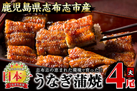 Ȃ̑큃偄4Zbgv600g(150g×4) Ȃ V EiM 4 Y BY Ă ΂₫ Ⓚ ȏd Ђ܂Ԃ ^ R ^pbN LO lC b8-026