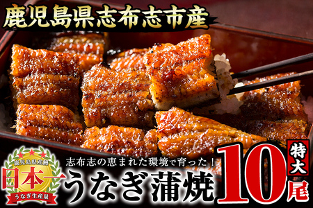 Ȃ̑큃偄10Zbgv1.7kg(170g×10) Ȃ V EiM 10 Y BY Ă ΂₫ Ⓚ ȏd Ђ܂Ԃ ^ R ^pbN LO lC g4-017