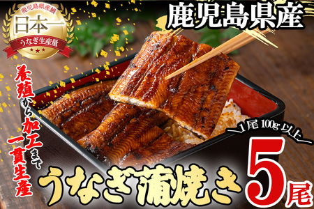 桜林養鰻のうなぎ蒲焼 計500g以上(100g以上×5尾) 鰻 うなぎ ウナギ うなぎ 蒲焼き かばやき 国産 九州産 鹿児島県産 冷凍 真空パック 簡単 うな丼 うな重 ひつまぶし 惣菜 おかず