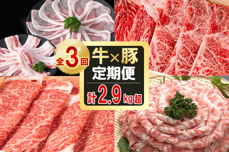 [定期便全3回]贅沢!国産黒毛和牛・豚肉定期便(3ヶ月連続・総量2.9kg以上) 黒毛和牛 国産牛 九州産 黒豚 豚 豚肉 肉 牛 牛肉 しゃぶしゃぶ すき焼き 豚バラ バラ ロース 人気 A4等級 小分け 真空包装 t