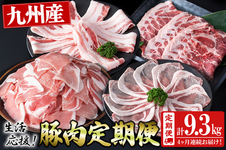 [定期便 全4回]九州産豚肉 生活応援定期便(計9.3kg) 定期便 豚肉 ぶた肉 肉 国産 九州産 切り落とし 切落し 小分け 真空パック チャック付き 野菜炒め 豚丼 カレー