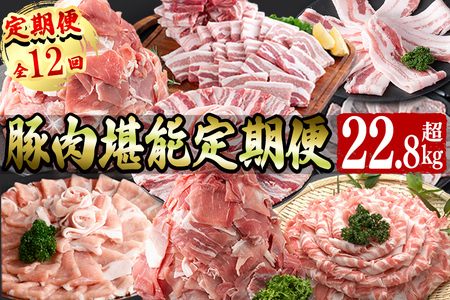 【定期便全12回】豚肉堪能定期便(12ヶ月連続・総量22.8kg以上) 豚 豚肉 肉 国産 九州産 しゃぶしゃぶ 焼肉 豚バラ ロース 切り落し 大容量 人気 小分け 真空包装 t0176-001