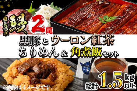 [定期便全3回]霧島湧水鰻2尾&釜揚げちりめん&黒豚ウデ切り落とし&ウーロン紅茶&角煮飯セット 総計4.5kg以上! うなぎ ウナギ 蒲焼 2尾 黒豚 切り落とし 紅茶 ウーロン茶 しらす ちりめんじゃこ 角煮 おかず t