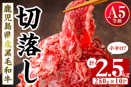 [小分け][A5等級]鹿児島県産黒毛和牛 切り落とし(250g×10P・計2.5kg) 牛肉 肉 小分け 切落し 切り落とし 切り落し 国産 鹿児島県産 黒毛和牛 A5 全国和牛能力共進会 牛丼