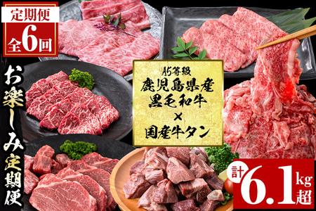 [定期便・全6回][A5等級]鹿児島県産黒毛和牛&国産牛タンのお楽しみ牛肉定期便[計6.1kg超] 定期便 牛肉 肉 お楽しみ バラエティ 小分け 牛たん すき焼き しゃぶしゃぶ ステーキ 焼肉 セット 頒布会 t