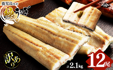 【訳あり】鹿児島県大隅産！楠田の極うなぎ白焼き 有頭(12尾 計2.1kg以上) 国産 鹿児島県産 鰻 不揃い 大容量 真空 冷凍 白焼き うなぎ 訳あり j0-004