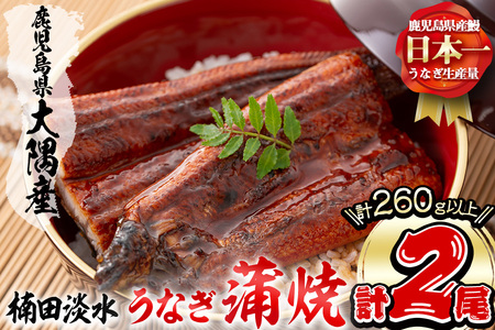 楠田の極うなぎ蒲焼き130g以上×2尾(計260g以上) 山椒付たれ 鰻 ウナギ 蒲焼 うな重 ひつまぶし 鹿児島 冷凍 おかず お祝い