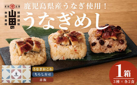鹿児島県産うなぎ使用！山田のうなぎめし1箱(6食入) うなぎ 鰻 国産 鹿児島 蒲焼き かばやき タレ ご飯 おこわ うなぎめし a4-090