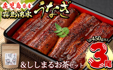 霧島湧水鰻3尾&ししまるお茶セット 霧島湧水鰻(156g以上×3尾)&緑茶ティーバッグ(3g×6個) 鹿児島県産 うなぎ ウナギ たれ タレ さんしょう 山椒 セット 緑茶 うな重 うな茶漬け