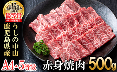 うしの中山 赤身焼肉用500g×1P 黒毛和牛 和牛 肉 牛肉 国産 九州産 鹿児島県産 焼肉 赤身 日本一