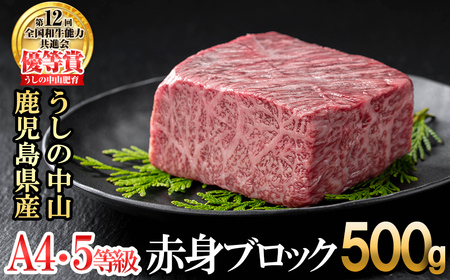 赤身ブロック500g×1P 黒毛和牛 和牛 肉 牛肉 国産 九州産 鹿児島県産 焼肉 ローストビーフ たたき 煮込み 日本一 冷凍 ブロック肉 BBQ バーベキュー ステーキ