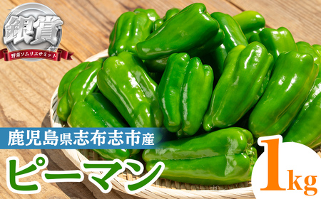 uzuYs[}(1kg) s[}  ₳ ҁ[܂ VN 퉷 퉷ۑ  lߍ킹  ܎ ؃\GT~bg p8-149