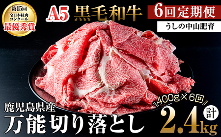 y֑S6zA4EA5јa\؂藎Ƃ v2.4kgi400g×1PES6j јa a ؂藎Ƃ   Y BY Y Ă Ԃ   A5 {