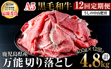 y֑S12zA4EA5јa\؂藎Ƃ v4.8kgi400g×1PES12j јa a ؂藎Ƃ   Y BY Y Ă Ԃ   A5 {