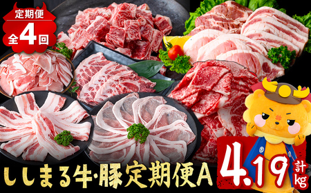 y֑S4z܂鋍EؒA(4AEv4.19kgȏ) јa  Y BY  ؓ   Y  ^ Ⓚ t0044-006